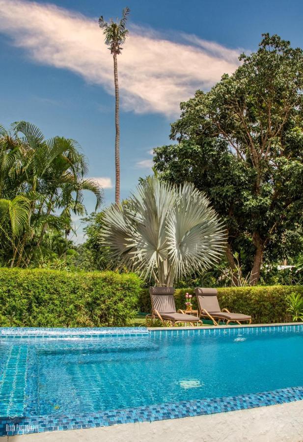 Filou Golf Pool Access 29 67 *